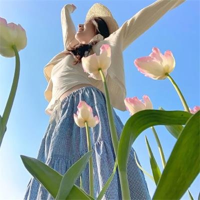 破冰行动