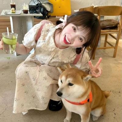 走向共和
